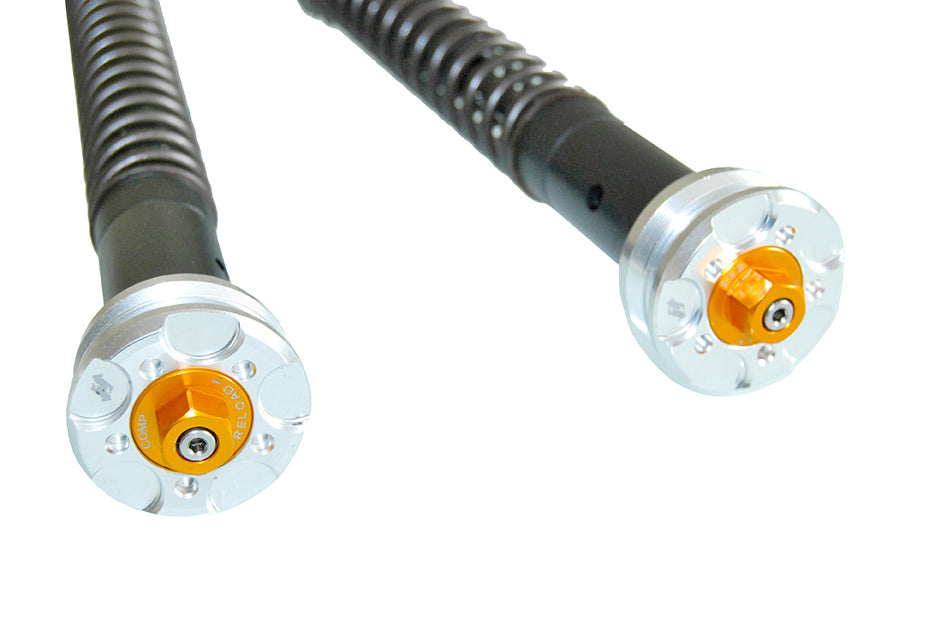 ANDREANI:305/D41E