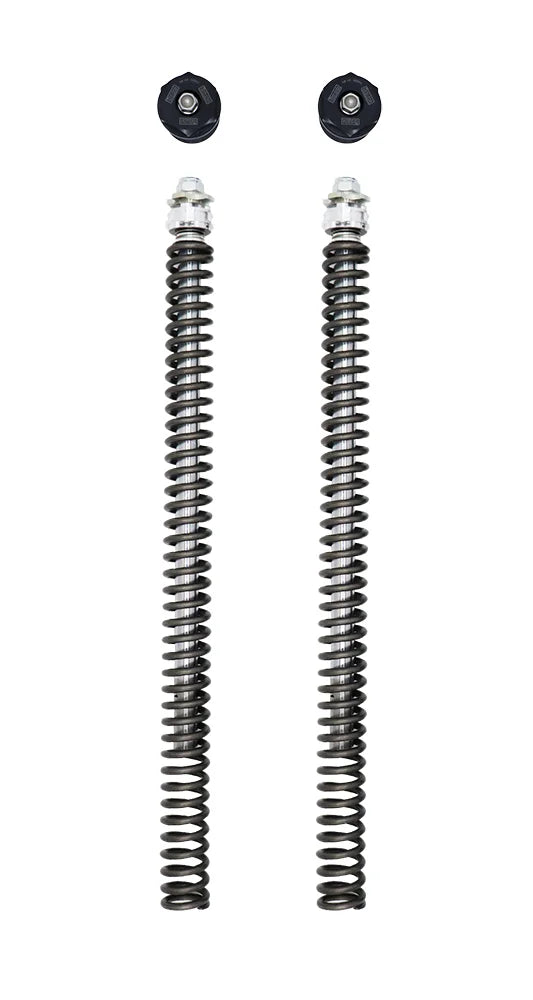FDK 113