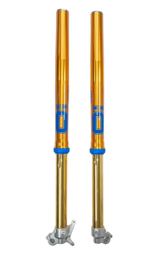 Ohlins/Andreani RXF48 Fork Ducati DESMO MX 450 / 2025 | FFX-AG2601 Enduro